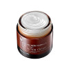 MIZON All In One Snail Repair Cream